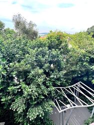 Ripple Bay (D18), Condominium #487774391